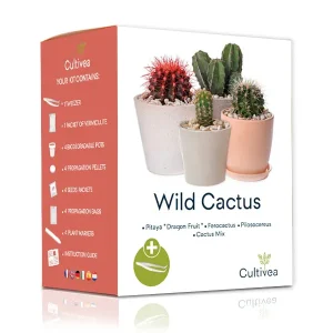 Cultivea Wild Cactus - Kit pour faire pousser des cactus - Idée cadeau DIY